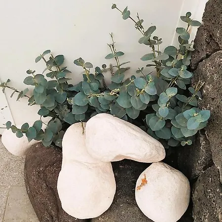 La Terraza Apartamento